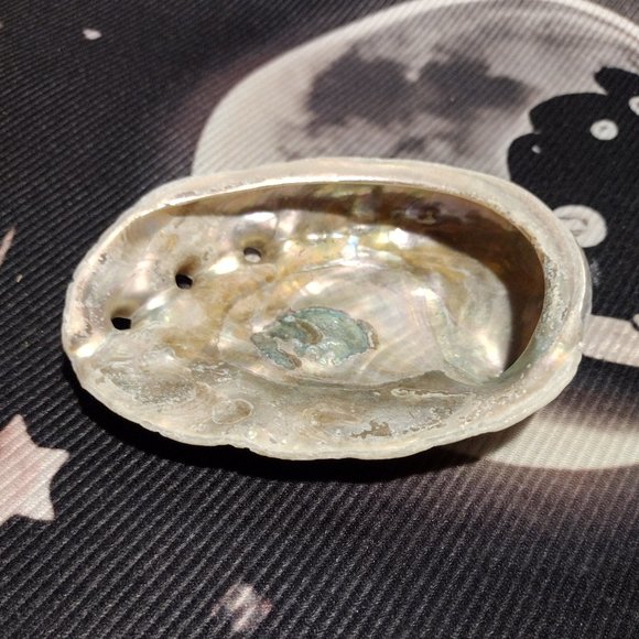 Small Abalone Seashell w/Smudge - Picture 2 of 5